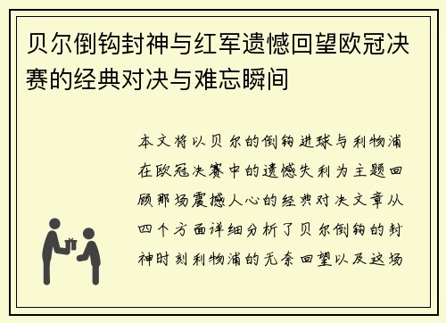 贝尔倒钩封神与红军遗憾回望欧冠决赛的经典对决与难忘瞬间