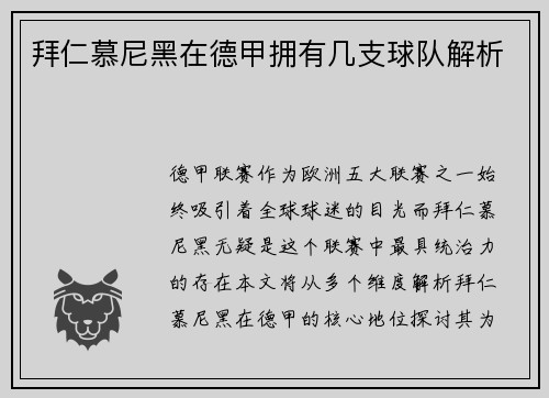 拜仁慕尼黑在德甲拥有几支球队解析